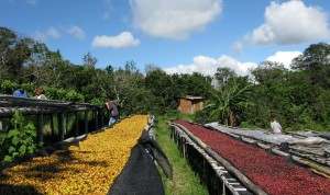 09031639_55e7f922a0aa0