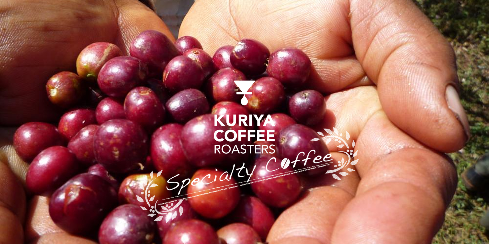 KURIYA COFFEE ROASTERS