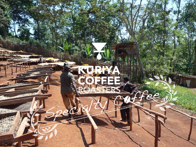 KURIYA COFFEE ROASTERS